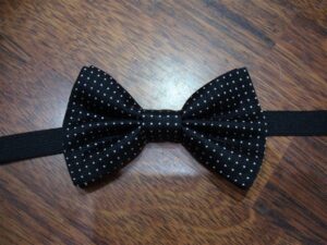 Papillon 025