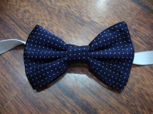 Papillon 020