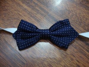 Papillon 022