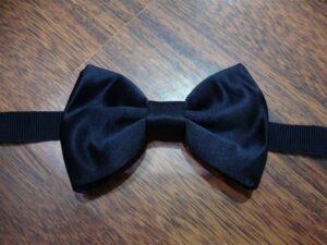 Papillon 024