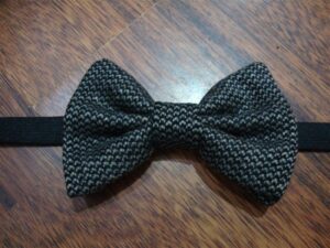 Papillon 021