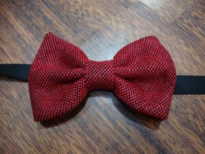 Papillon 018