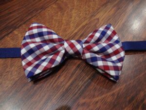 Papillon 027