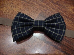 Papillon 030