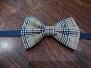 Papillon 016
