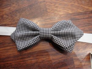 Papillon 026