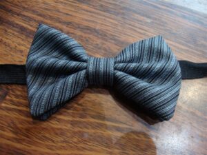 Papillon 029