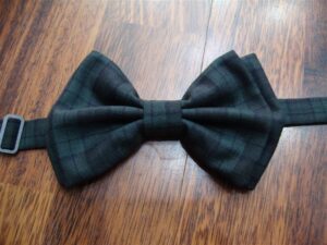 Papillon 028
