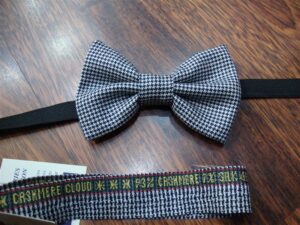 Papillon 012
