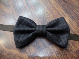 Papillon 013