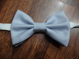 Papillon 011