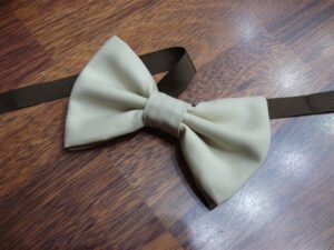Papillon 010