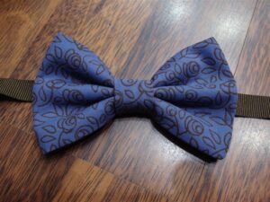 Papillon 009