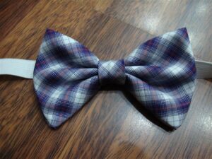 Papillon 008