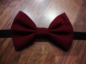 Papillon 004