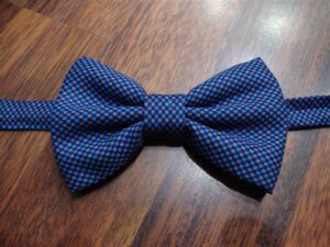 Papillon 005