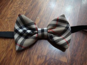 Papillon 032
