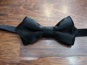 Papillon 023